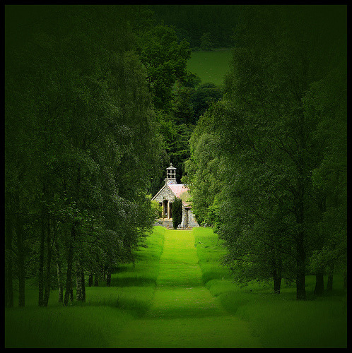 bluepueblo:   Summer Green, Botanical Gardens, Peebles, Scotland photo by gradamso