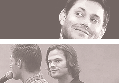 driverpicksthepie:  dickiebirdie37: &ldquo;I think that you can say a lot without