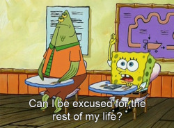gofuckingnuts:  Can I be excused for the rest of my life? | ridiculous. on We Heart It. http://weheartit.com/entry/15000938 