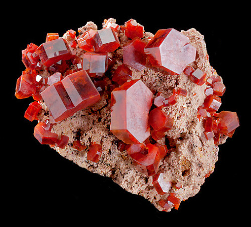 billycrystalbillycrystal:  Crystals of reddish-orange Vanadinite on matrix 