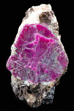 billycrystalbillycrystal:  Corundum var. Ruby with Biotite in matrix 