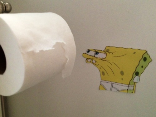 steady-now:Someone keeps using up all the toilet paper and not refilling it.  So I decided that putt