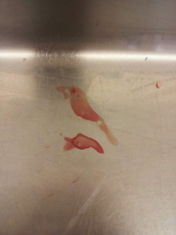 This splotch of blood looks like a bird.