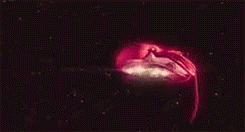 grxwingstrong:  I believe in a thing called love- The Darkness 
