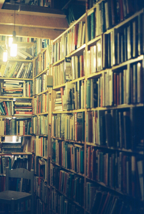hope-sweet-hope:  teachingliteracy:  under the light. (by Life Through a Viewfinder2012)   Can I like, live there?