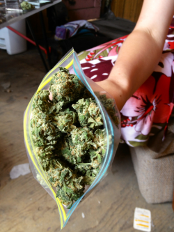 stayfly-stayhigh:  stayfly-stayhigh:  ounce