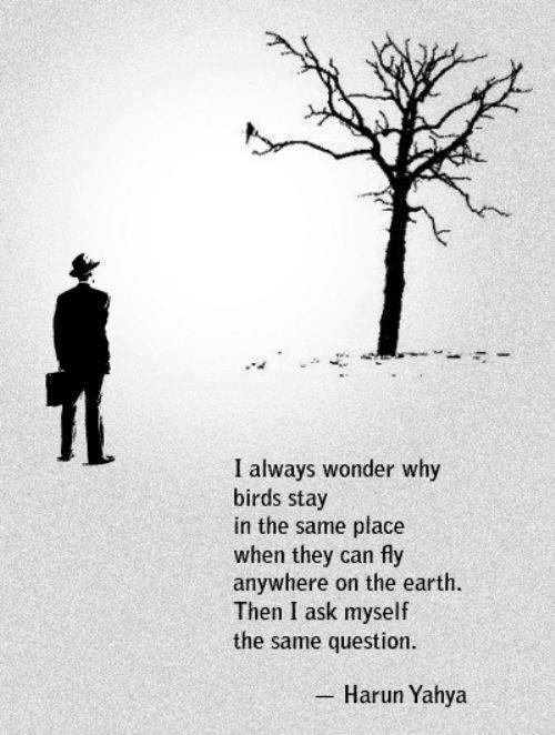 lost and insecure