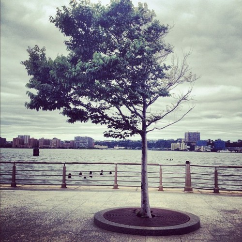 Taken with Instagram at Pier 66 - Hudson River Park