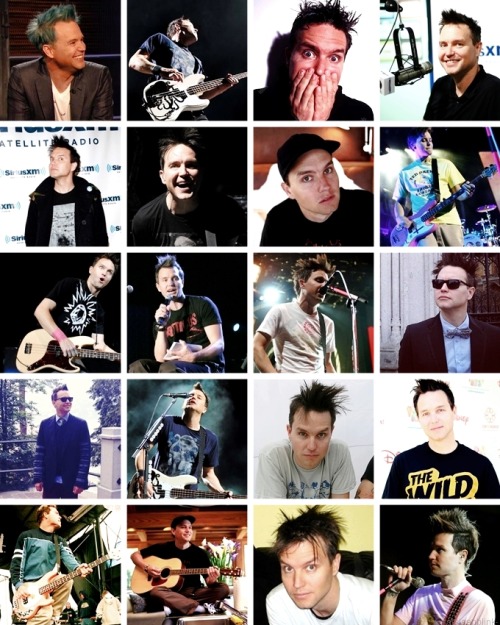 eatsleepblink-:  Mark Hoppus Appreciation post 