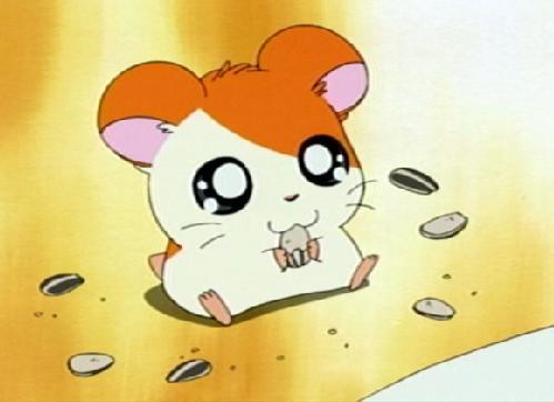 mimama-medroga:  Hamtaro weon? eres tu? marcaste mi infancia :C te extraño