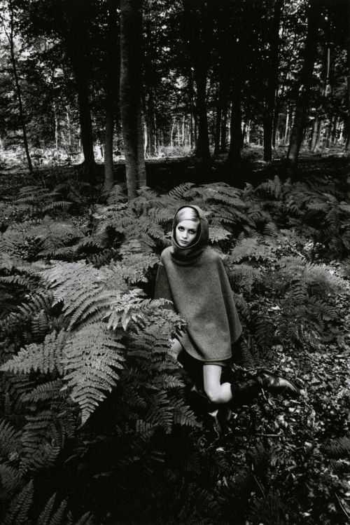 liquidnight: Jeanloup Sieff Twiggy in the bracken, 1967 From Jeanloup Sieff 