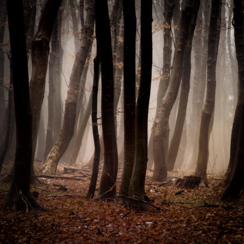 bedp0tato:  Forgotten song of autumn- by *JaneckArt 