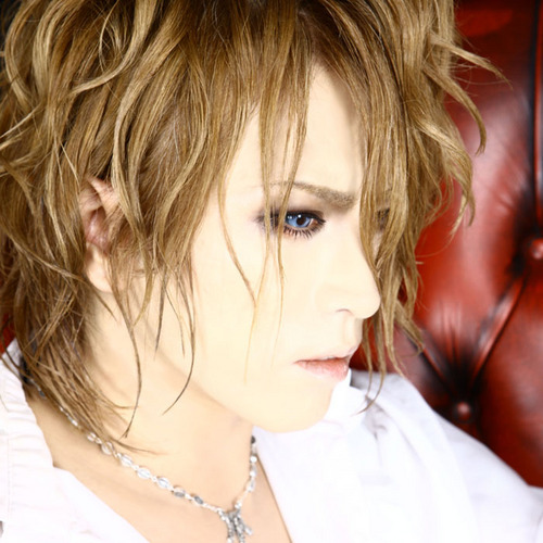 untraceable-descendant:  Kamijo