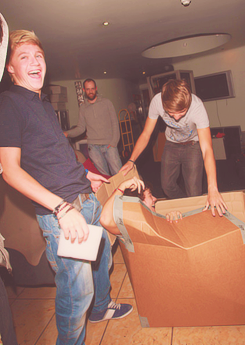 niallisjustmycupoftea:  this is so old but it never gets old 