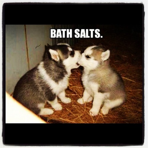 BATH SALTS #zombie #miami #puppies (Taken with Instagram)