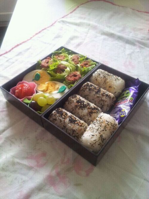 My attempt at Bento ! Lamb sheesh kebabs adult photos