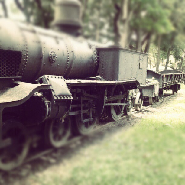 adorablebipolar:  Ferro (tomada con Instagram en Hacienda Santa Teresa)