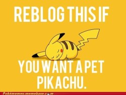 thedivascartoonist:  thepurplecommet:  seriouspokemonmemes:  hmm, lets see  Meh, more of a Spinda guy myself! But Pikachu’s cute too!  pikachu or skitty, either one is good for me 