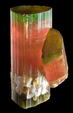 billycrystalbillycrystal:  Tourmaline with