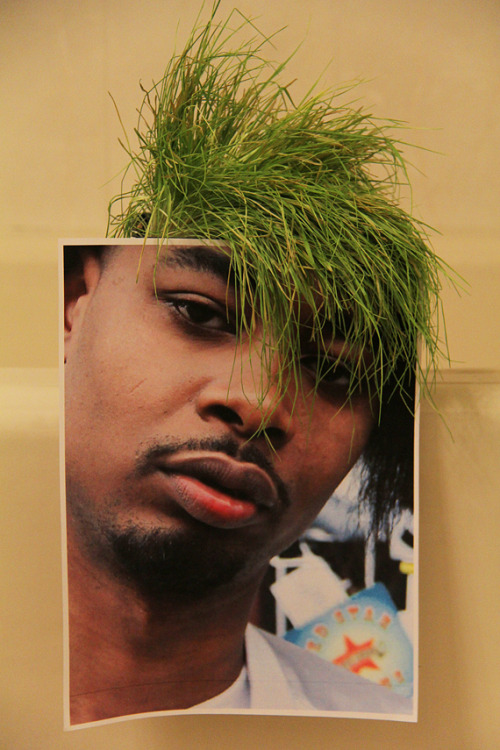 troioikelley.tumblr.com/post/41166321621/
