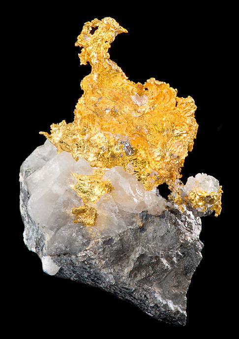 billycrystalbillycrystal:  Native Gold on Quartz and Arsenopyrite with a Slate base