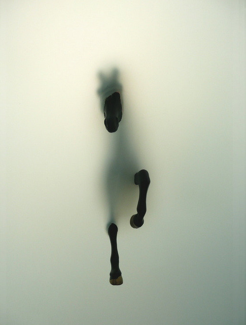 arreter:  Miriam Sweeney is an Irish artist who has based herself in the east coast of Dublin for the past 25 years. Prior to that, she had a monadic childhood that included living in Iran.  