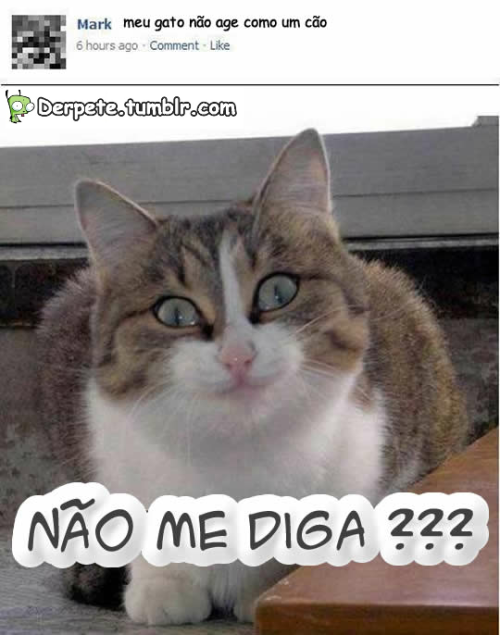 revelacoesdeumameninasonhadora.tumblr.com/post/40436172372/