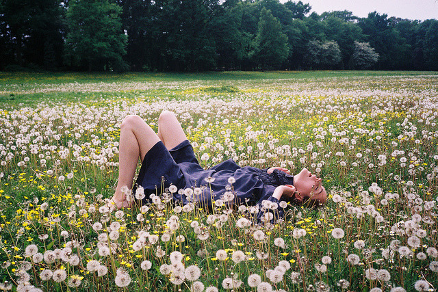 r0mance-is:  . by neon.tambourine on Flickr. 