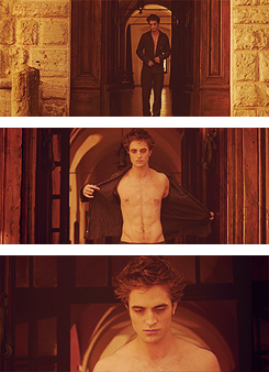 Twilights lovers
