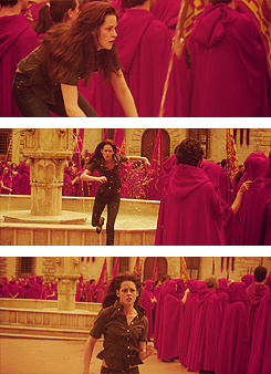 Twilights lovers