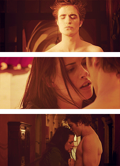 Twilights lovers