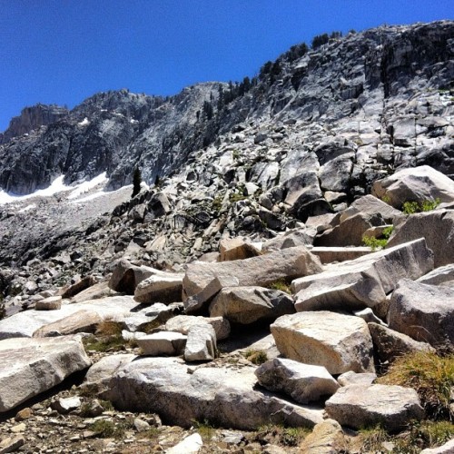 9000ft up on the lakes trail at sequoia national forest. (Taken with Instagram)