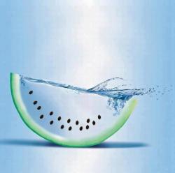 nothingwithoutfriendship:  WATER-melon ;D