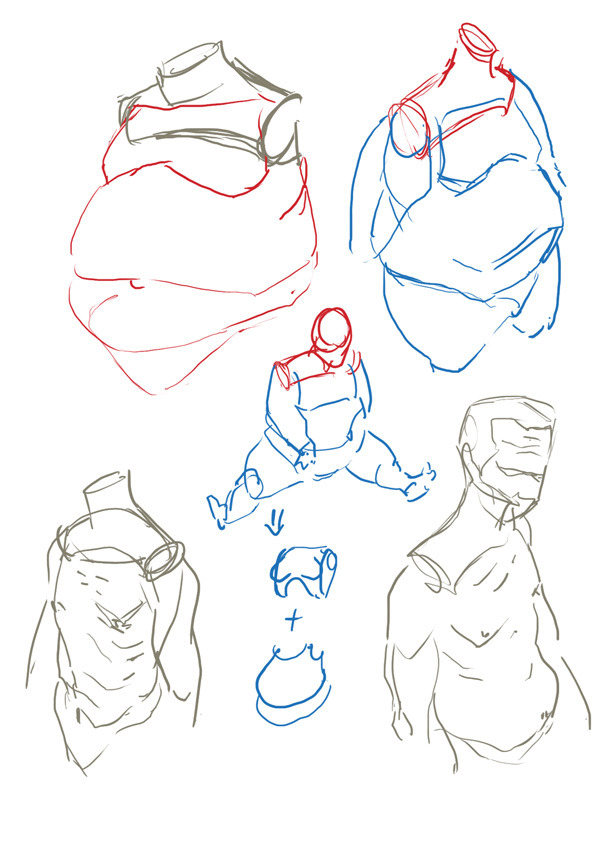 potassium-iodide:  I’m sure this is on tumblr somewhere. Refs.  