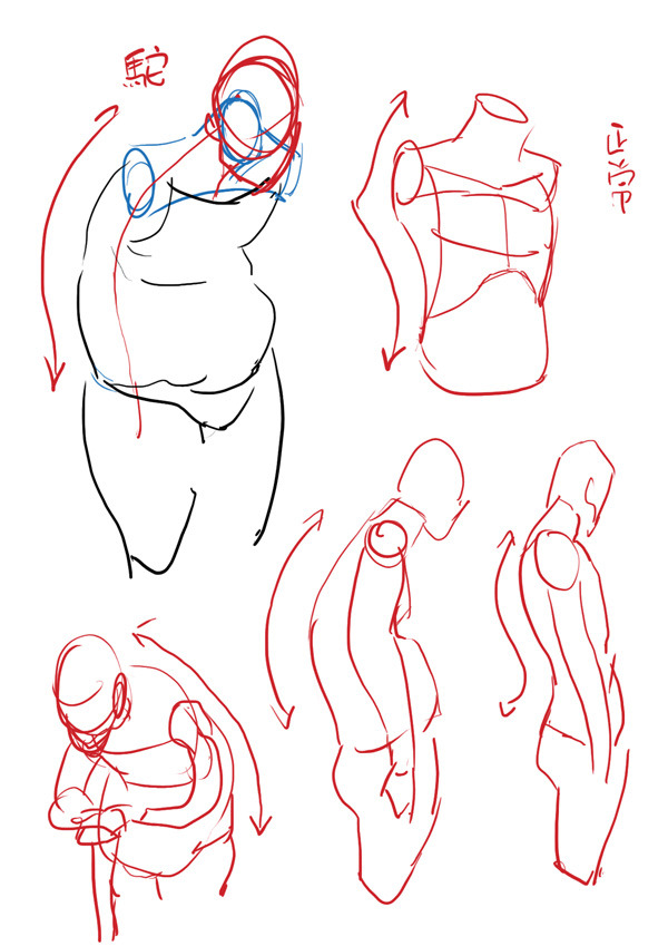 potassium-iodide:  I’m sure this is on tumblr somewhere. Refs.  