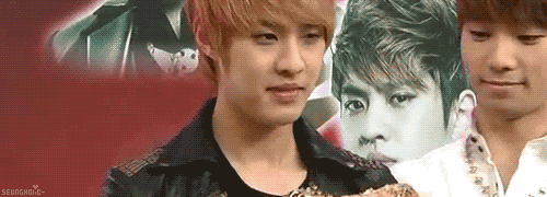 Kpop Addict