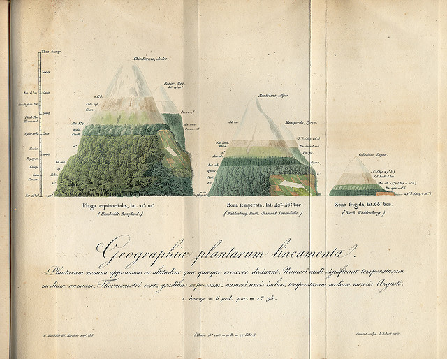 scientificillustration:  Geographica plantarum by APS Museum on Flickr. 