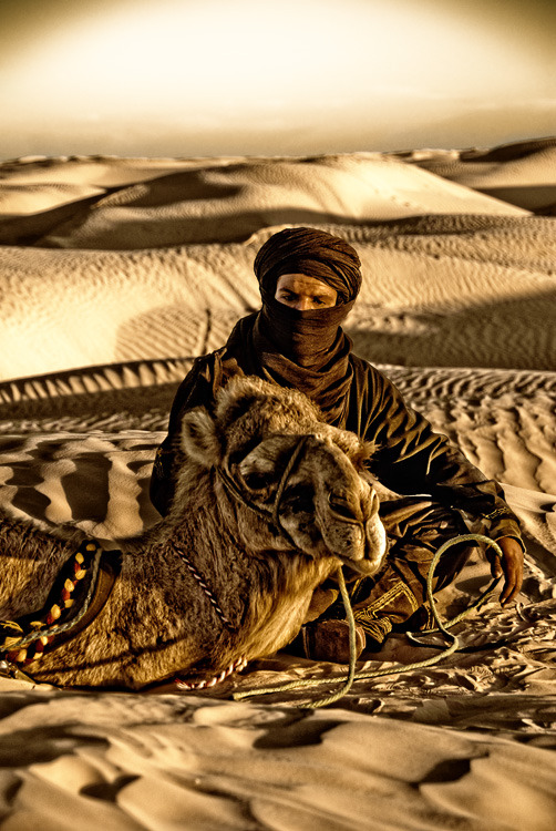 أمينة