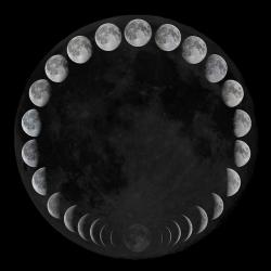 greypudding:  Lunar phase cycle.