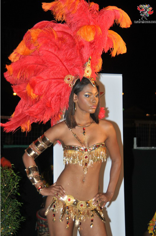 fyeahblackhistory:  Trinidad Carnival. 