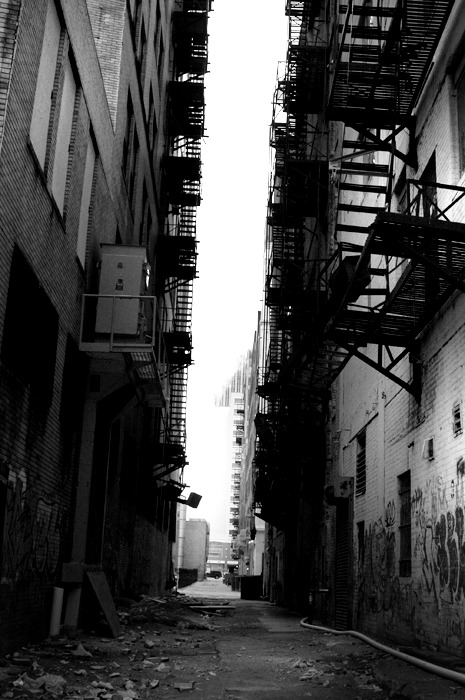 fiore-rosso:  ani weiswasser | articulated limitations. 