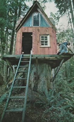 dvnity:  ▲ vintage  I&rsquo;ve always wanted a tree house :(