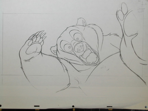 Brother Bear rough animation drawing by Jean-Claude Tran and clean up drawing by Patrick Tuorto. 