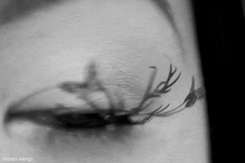 hannahlovestea:  pineapple—republic:  There’s a forest on her eyelashes.  