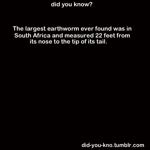 did-you-kno:  Source