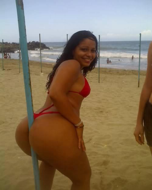 SXYCURVES