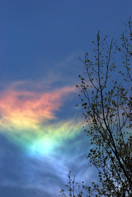 battlepope-deactivated20130807:  The fire rainbow is the rarest of all naturally occurring phenomena. The clouds must be cirrus and at an altitude of 20,000 feet at least. There must be just the right amount of ice crystals present, as well.  The sun