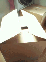 Just posted a GIF (Taken with GifBoom)