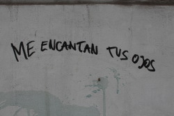 oye-tu-si-tu-te-amo-ctm:  amigo-no-sea-weon:  que-dios-te-lo-pague:  mas que la chucha  son café un poco marrones kjhgjklññ son bonis  son tan hermosos:(