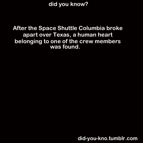 did-you-kno:  Source